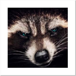 rocket racoon Posters and Art